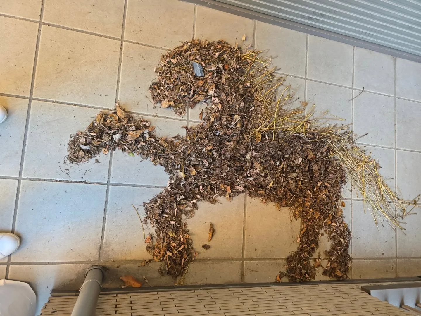 児童養護施設にて