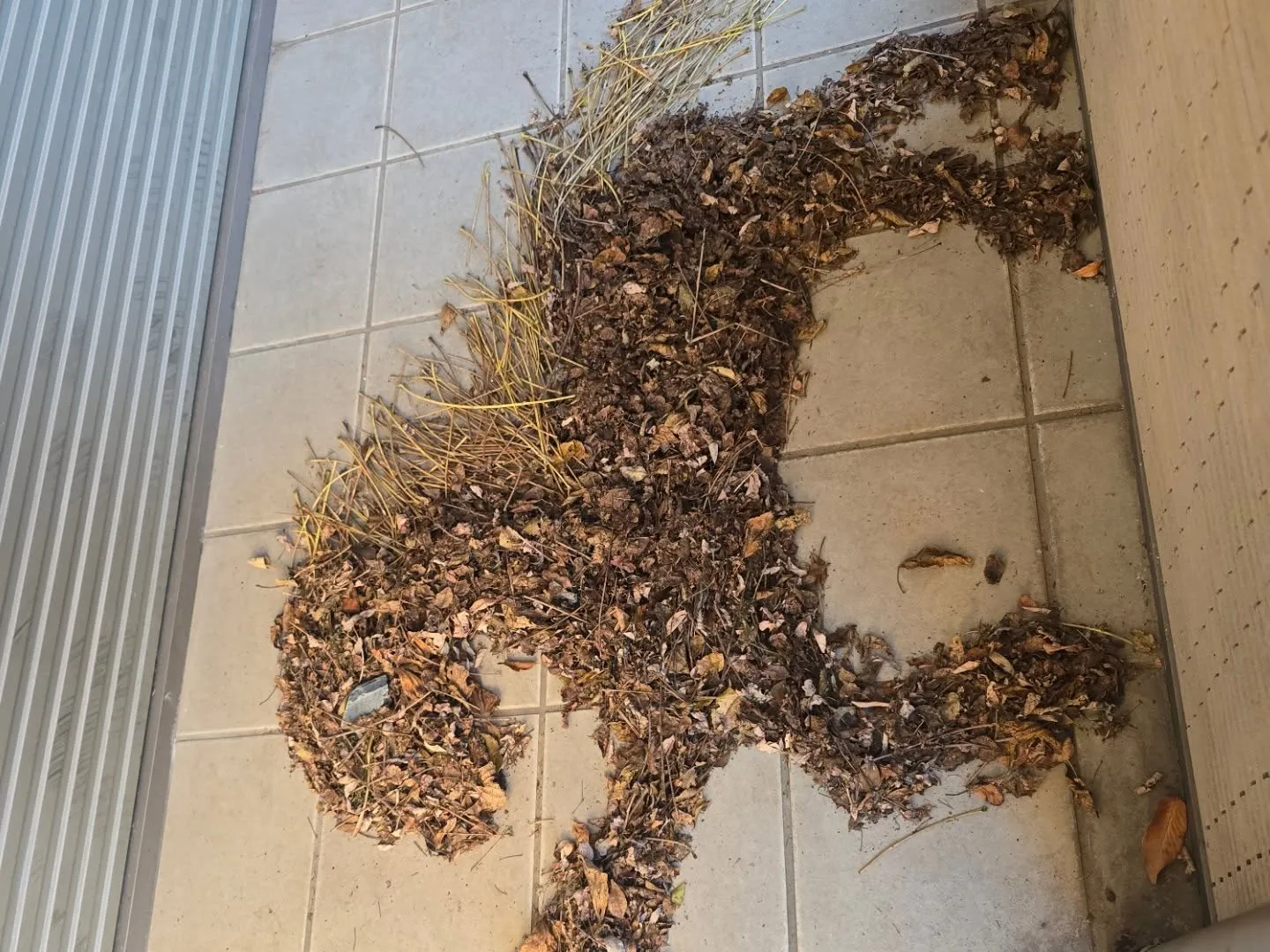 児童養護施設にて